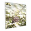 995x1195 Owl In The Spring Picture NXT Gen Infrared Heating Panel 1200W - Electric Wall Panel Heater - Image 2