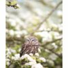 995x1195 Owl In The Spring Picture NXT Gen Infrared Heating Panel 1200W - Electric Wall Panel Heater - Image 3