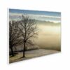995x1195 Spring Morning Image NXT Gen Infrared Heating Panel 1200W - Electric Wall Panel Heater