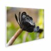 995x1195 Exotic Bloom Picture NXT Gen Infrared Heating Panel 1200W - Electric Wall Panel Heater