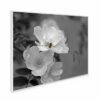 995x1195 Pollination Image NXT Gen Infrared Heating Panel 1200W - Electric Wall Panel Heater