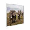 595x595 Elephants Crossing Picture NXT Gen Infrared Heating Panel 350W - Electric Wall Panel Heater