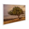 795x1195 Eucalyptus Shore Image NXT Gen Infrared Heating Panel 900W - Electric Wall Panel Heater