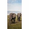 595x1195 Elephants Crossing Picture NXT Gen Infrared Heating Panel 700W - Electric Wall Panel Heater - Image 3