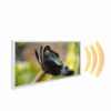 595x1195 Exotic Bloom Picture NXT Gen Infrared Heating Panel 700W - Electric Wall Panel Heater - Image 2