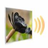 595x595 Exotic Bloom Picture NXT Gen Infrared Heating Panel 350W - Electric Wall Panel Heater - Image 2