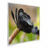 595x595 Exotic Bloom Picture NXT Gen Infrared Heating Panel 350W - Electric Wall Panel Heater