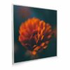 595x595 Flower Image NXT Gen Infrared Heating Panel 350W - Electric Wall Panel Heater