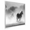 595x595 Galloping Stallions Picture NXT Gen Infrared Heating Panel 350W - Electric Wall Panel Heater