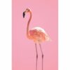 795x1195 Flo The Flamingo Image NXT Gen Infrared Heating Panel 900W - Electric Wall Panel Heater - Image 4