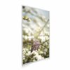 795x1195 Owl In The Spring Image NXT Gen Infrared Heating Panel 900W - Electric Wall Panel Heater
