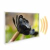 795x1195 Exotic Bloom Image NXT Gen Infrared Heating Panel 900W - Electric Wall Panel Heater - Image 2