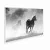 795x1195 Galloping Stallions Image NXT Gen Infrared Heating Panel 900W - Electric Wall Panel Heater