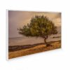795x1195 Eucalyptus Shore Image NXT Gen Infrared Heating Panel 900W - Electric Wall Panel Heater - Image 2