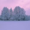 595x595 Frozen Twilight Image NXT Gen Infrared Heating Panel 350W - Electric Wall Panel Heater - Image 3