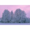 795x1195 Frozen Twilight Picture NXT Gen Infrared Heating Panel 900W - Electric Wall Panel Heater - Image 3