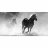 595x1195 Galloping Stallions Picture NXT Gen Infrared Heating Panel 700W - Electric Wall Panel Heater - Image 3