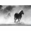 795x1195 Galloping Stallions Image NXT Gen Infrared Heating Panel 900W - Electric Wall Panel Heater - Image 3