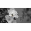595x1195 Pollination Image NXT Gen Infrared Heating Panel 700W - Electric Wall Panel Heater - Image 3
