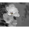 995x1195 Pollination Image NXT Gen Infrared Heating Panel 1200W - Electric Wall Panel Heater - Image 3
