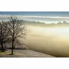795x1195 Spring Morning Picture NXT Gen Infrared Heating Panel 900W - Electric Wall Panel Heater - Image 3