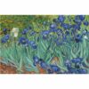 795x1195 Irises Picture NXT Gen Infrared Heating Panel 900W - Electric Wall Panel Heater - Image 3