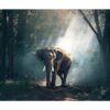 995x1195 Jungle Elephant Image NXT Gen Infrared Heating Panel 1200w - Electric Wall Panel Heater - Image 3