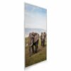 595x1195 Elephants Crossing Picture NXT Gen Infrared Heating Panel 700W - Electric Wall Panel Heater