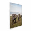 795x1195 Elephants Crossing Image NXT Gen Infrared Heating Panel 900W - Electric Wall Panel Heater - Image 2