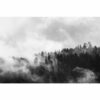 995x1195 Clouded Trees Image NXT Gen Infrared Heating Panel 1200W - Electric Wall Panel Heater - Image 3