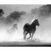 995x1195 Galloping Stallions Picture NXT Gen Infrared Heating Panel 1200W - Electric Wall Panel Heater - Image 3