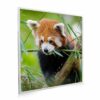 595x595 Red Panda Picture NXT Gen Infrared Heating Panel 350w - Electric Wall Panel Heater