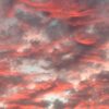 595x595 Red Sky NXT Gen Infrared Heating Panel 350w - Image 4