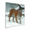 595x595 Siberian Tiger Picture NXT Gen Infrared Heating Panel 350W - Electric Wall Panel Heater