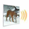 595x595 Siberian Tiger Picture NXT Gen Infrared Heating Panel 350W - Electric Wall Panel Heater - Image 2